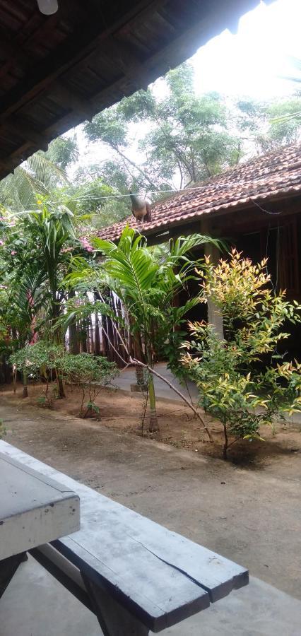 Walkers Hostel Trincomalee Ngoại thất bức ảnh
