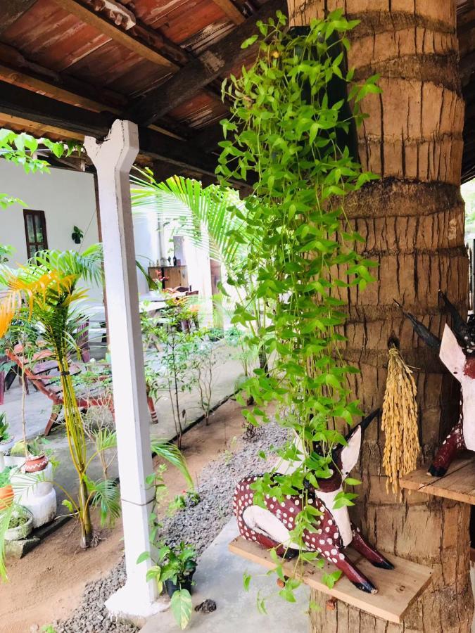 Walkers Hostel Trincomalee Ngoại thất bức ảnh