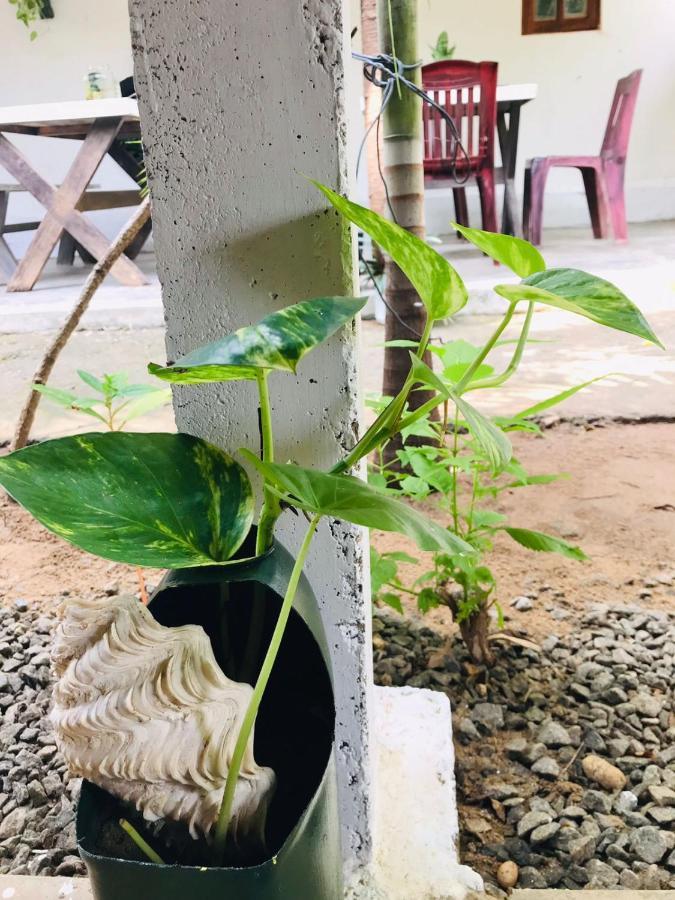 Walkers Hostel Trincomalee Ngoại thất bức ảnh
