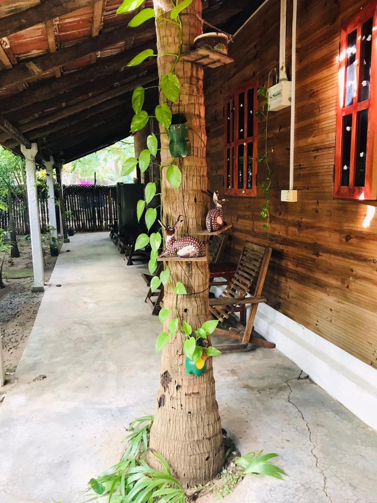 Walkers Hostel Trincomalee Ngoại thất bức ảnh