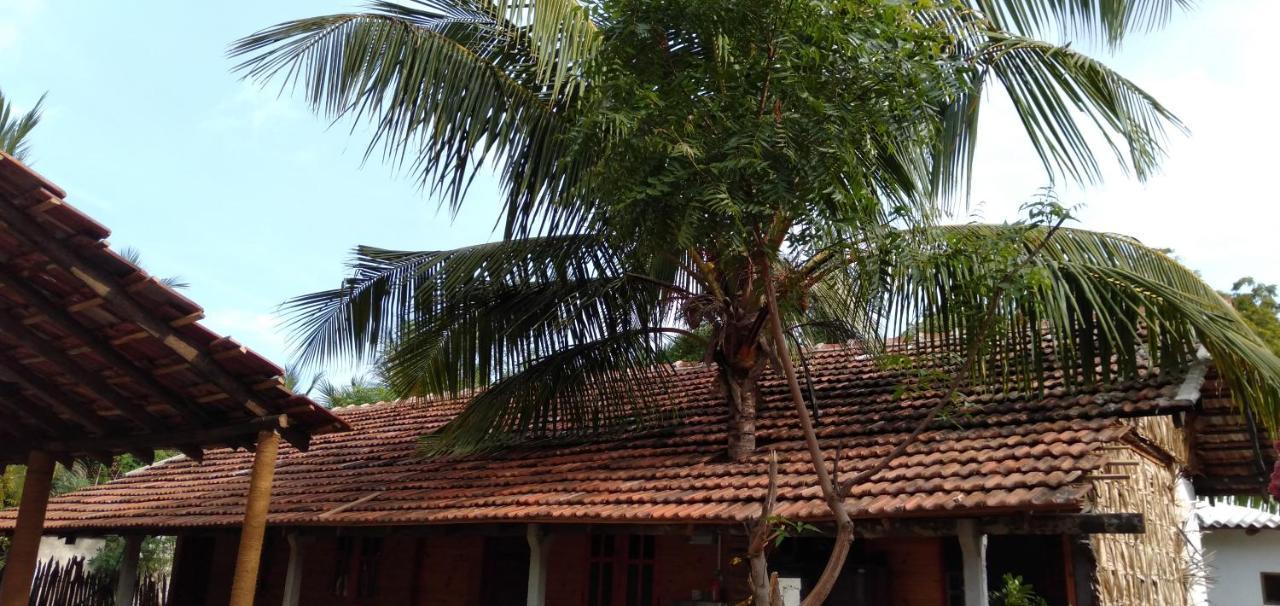 Walkers Hostel Trincomalee Ngoại thất bức ảnh